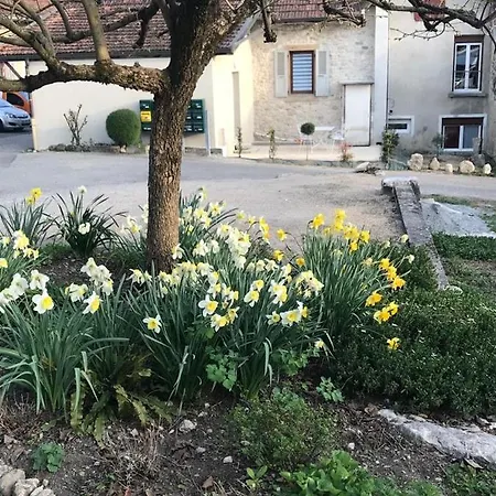 Le Déjà Viuz