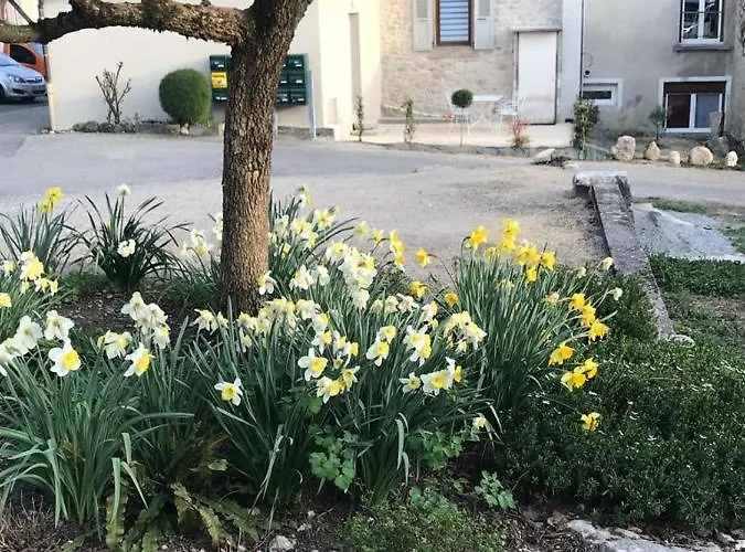 Le Deja Viuz